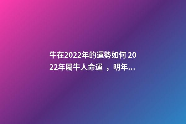 牛在2022年的運勢如何 2022年屬牛人命運，明年屬牛的人的運氣怎么樣
